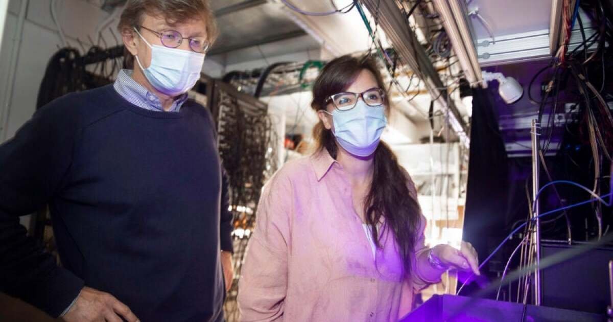 Harvard scientists observe new state of matter, a quantum spin liquid
