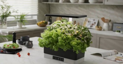 SproutHub puts an automated indoor garden on your kitchen countertop