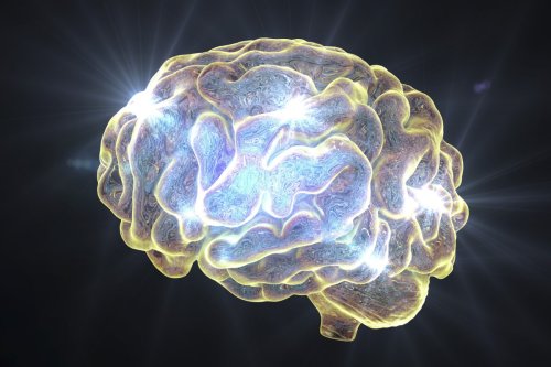 Regular ketamine use found to restructure the brain's dopamine system
