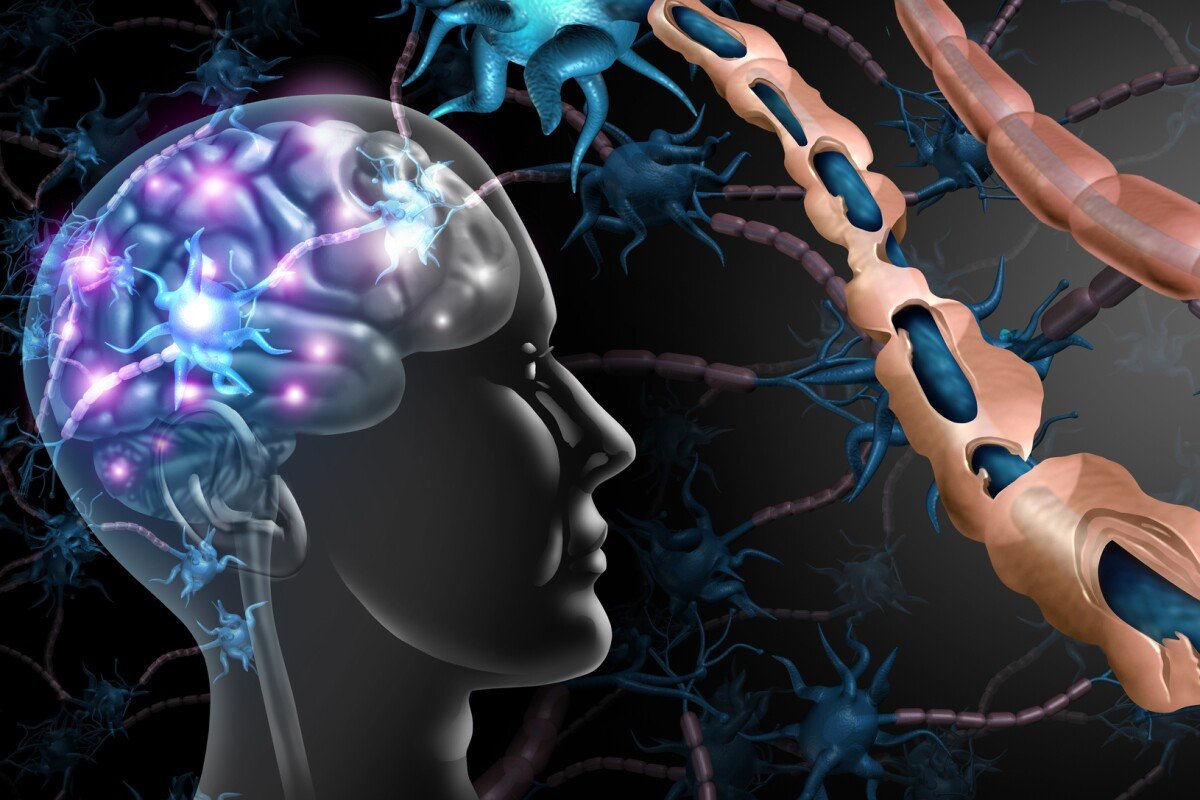 Scinfo cover image