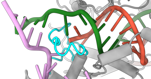 Protein tweak makes CRISPR gene editing 4,000 times less error-prone