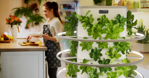 Hydroponic Garden Tower grows year-round greens indoors