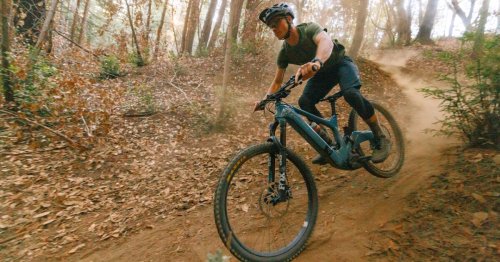 Prestige brand Ibis gets into the eMTB game, with the full-carbon Oso