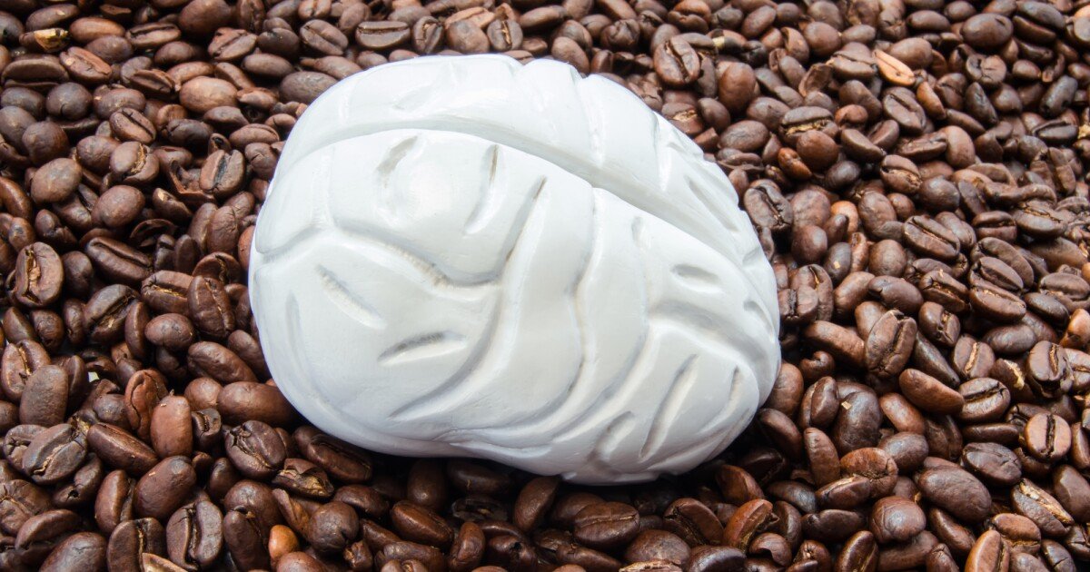 Caffeine consumption found to alter brain structure