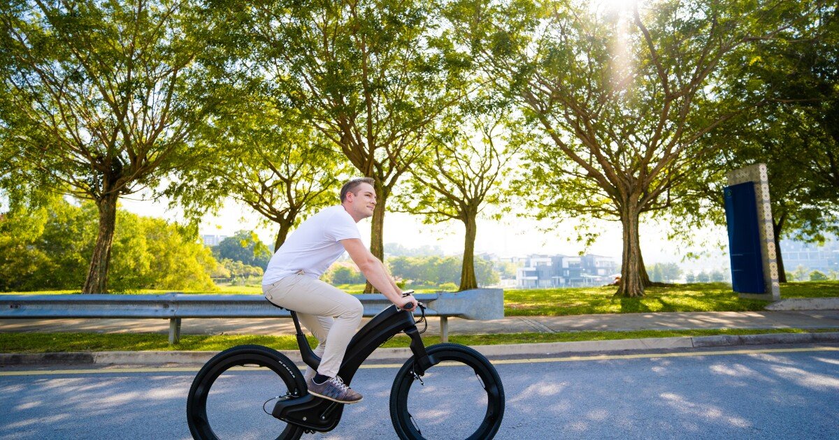 The ebikes that did things differently in 2020