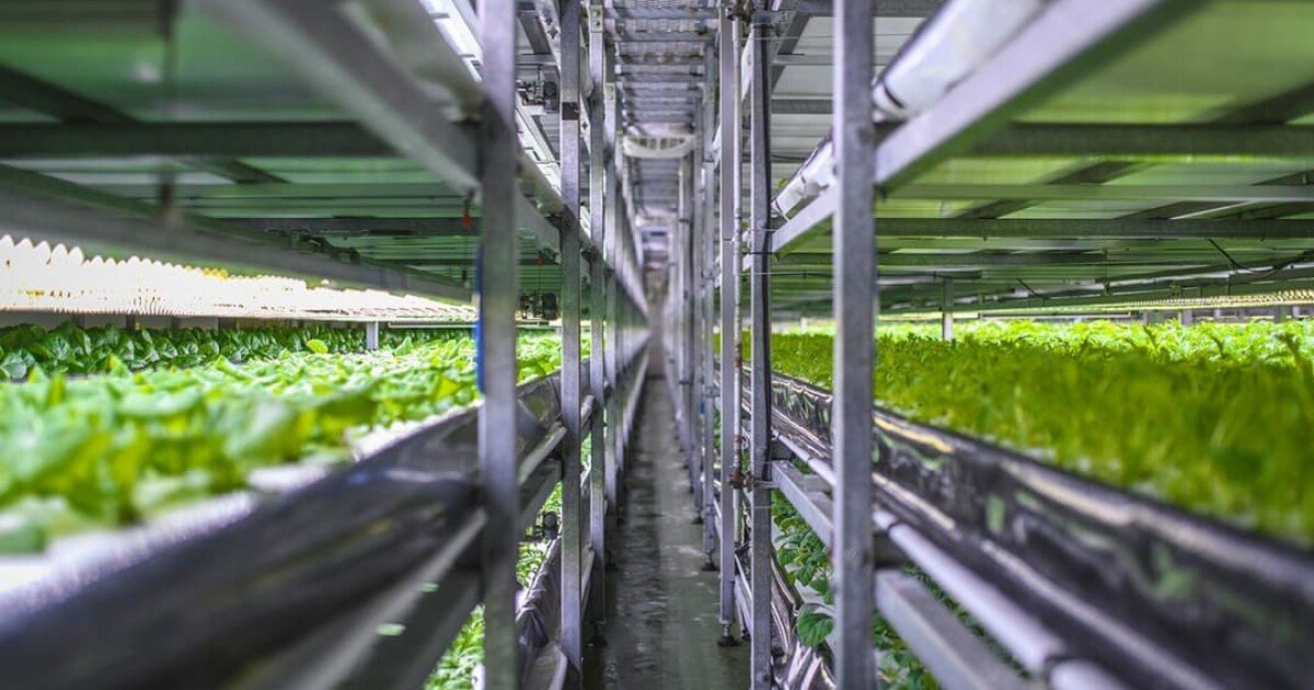 Future food: Vertical farms, self-watering soil, and autonomous tractors
