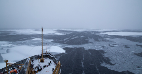 Strongest Arctic cyclone on record wreaks havoc on vulnerable sea ice