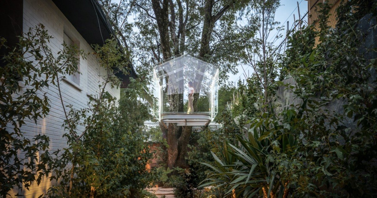 Glass treehouse peels back the curtain on privacy