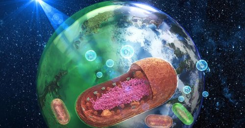 Earth’s oceans used to be green, and they could turn purple next