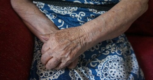 Clues to healthy aging found in the gut bacteria of centenarians