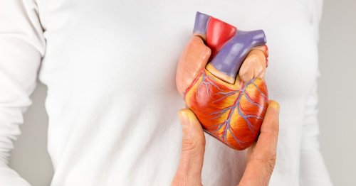AI IDs 5 kinds of heart failure to guide risk prediction and treatment