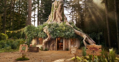 Sleep like an ogre in Airbnb's Shrek Swamp
