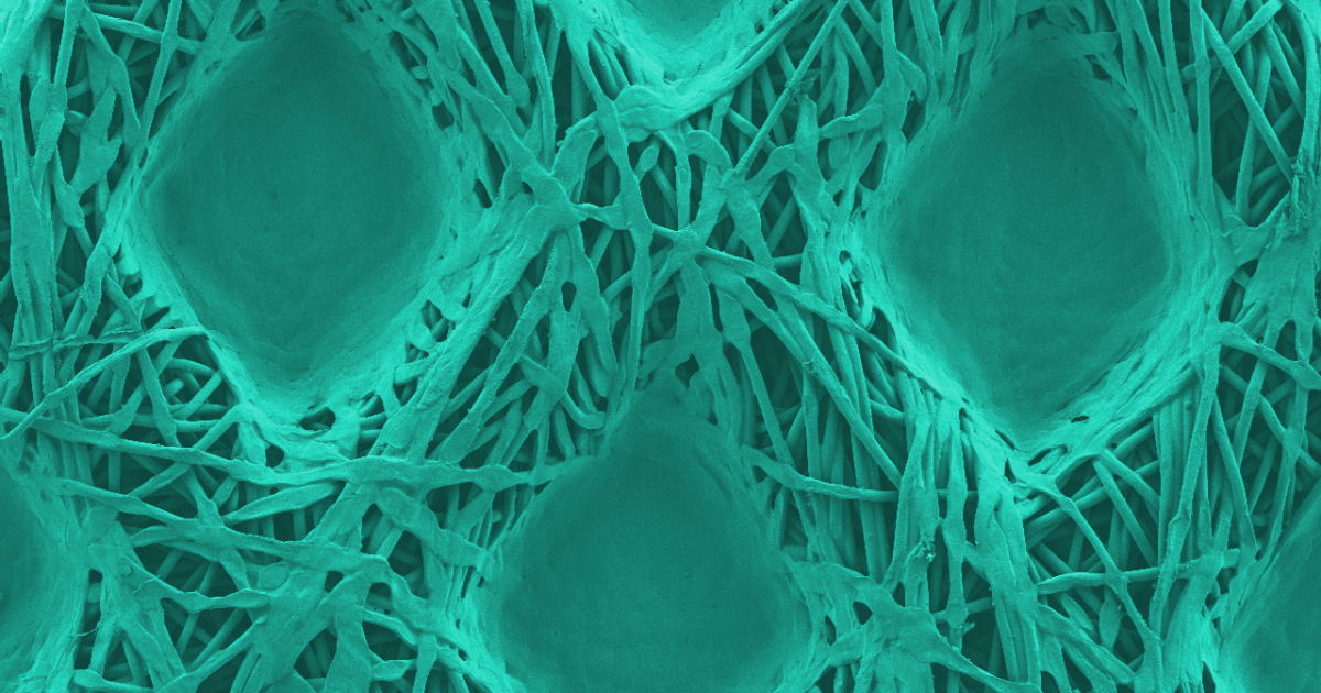 Antimicrobial textile coating makes superbug-squashing hospital curtains