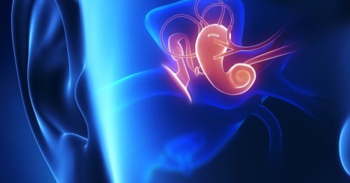 New tinnitus treatment emerges from blocking back-channels in the ear