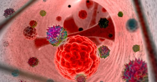 Herpes virus genetically engineered to kill cancer