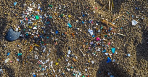 Microplastics found to spread deadly land-based pathogens far out to sea