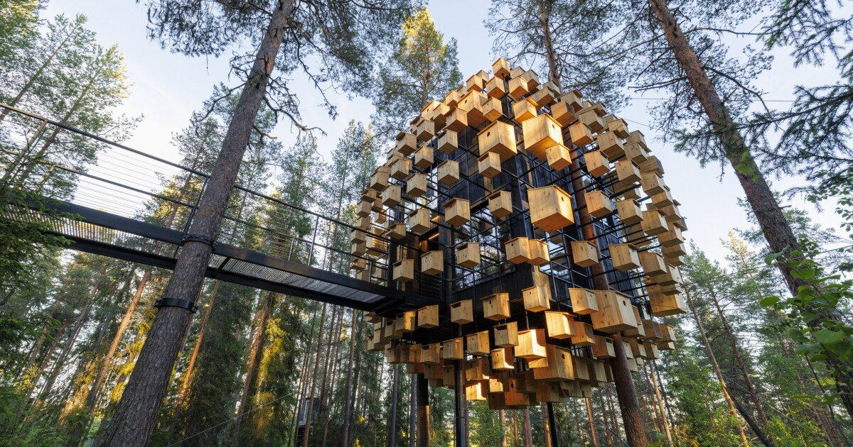 One-of-a-kind treehouse hotel is definitely one for the birds