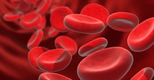 Gene study suggests healthy aging linked to blood iron levels