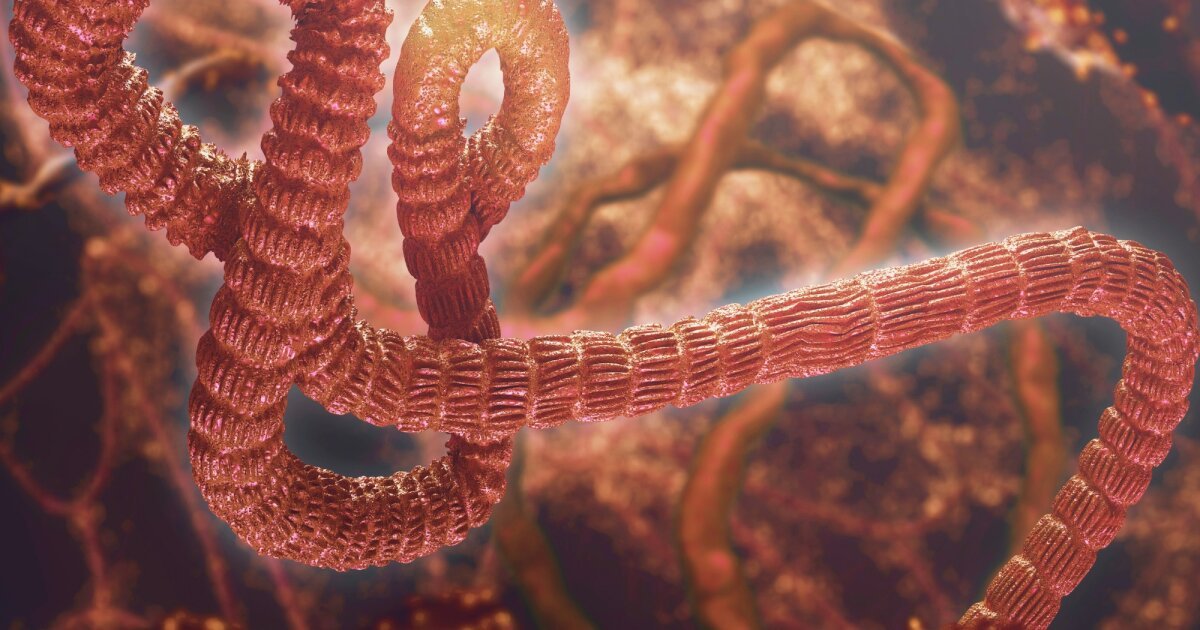 Ebola Bundibugyo Outbreak: New Vaccines, Treatments Under Development | Quick Digest