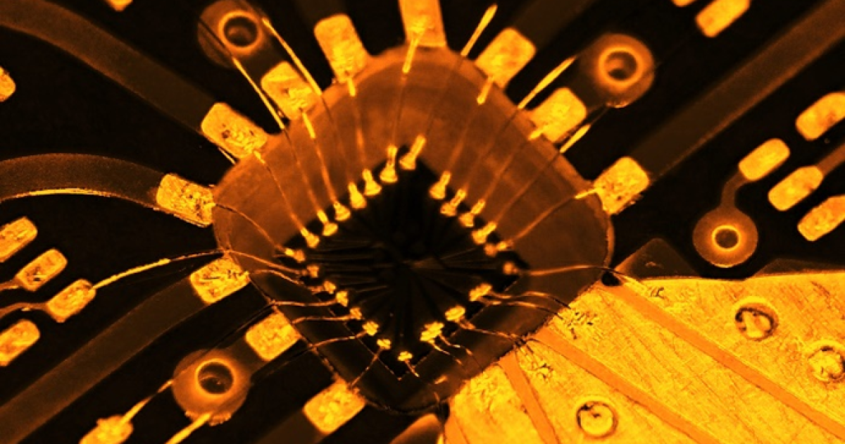 Silicon quantum computing surpasses 99% accuracy in three studies