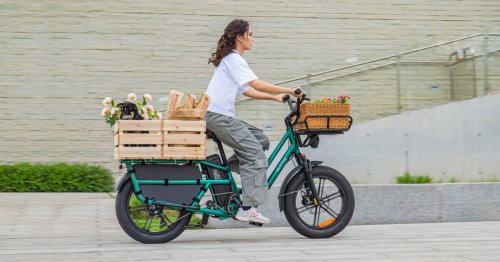 $1499 longtail cargo ebike hauls gear (and pooch) for miles
