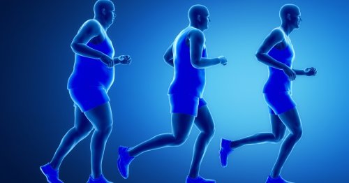 Synthetic peptide acts on endocannabinoid system to combat obesity