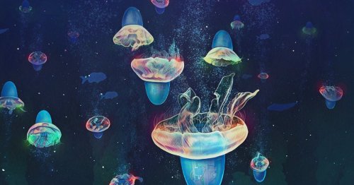 Speedy biohybrid jellyfish are part-gelatinous, part-machine