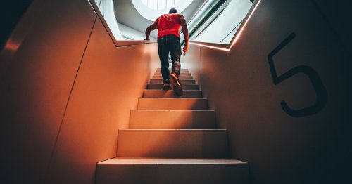Brain volume study reveals anti-aging potential of taking the stairs