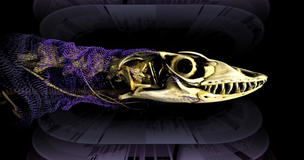 Animals & Biology - cover