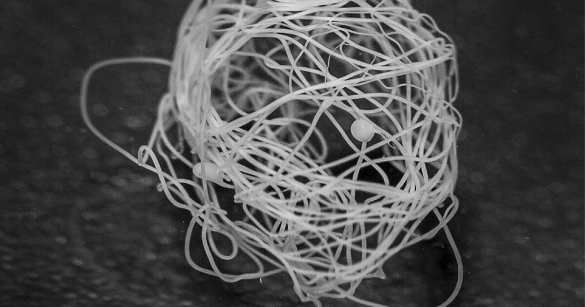 Large quantities of synthetic spider silk spun on demand