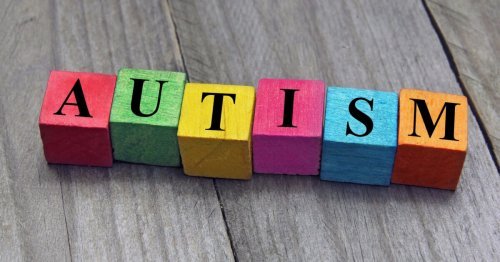 Promising autism drug shows early success in animal tests