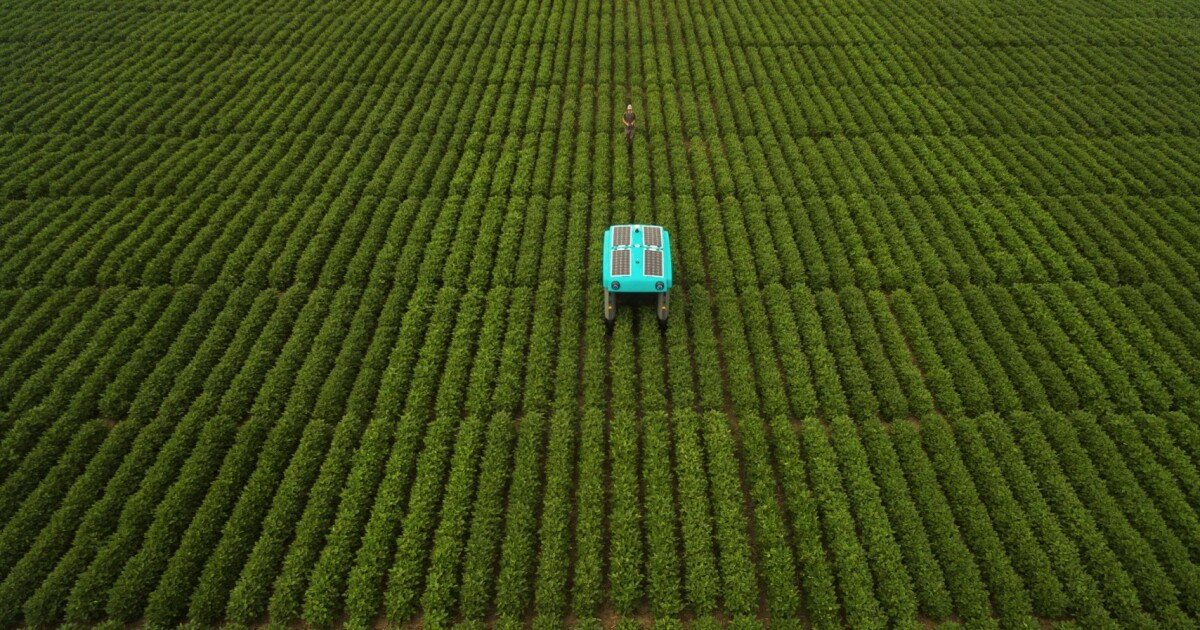 Alphabet builds a plant-inspecting buggy for sustainable farming