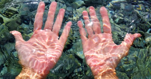 The fascinating feature of waterlogged fingertips we all share