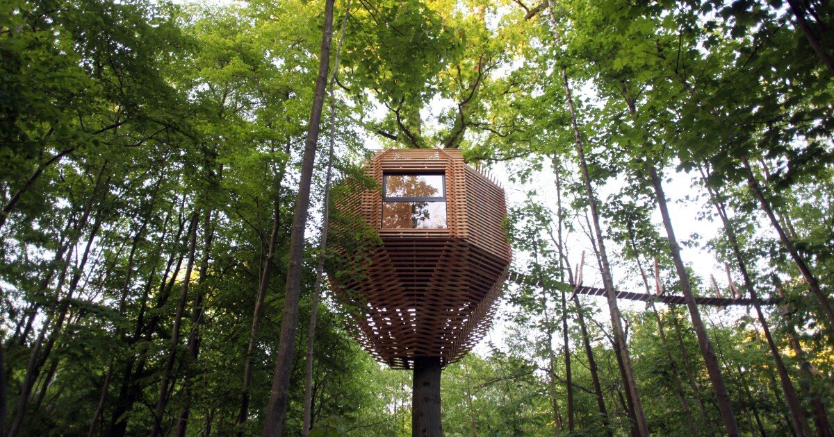 Geometric treehouse packs unexpected treetop luxury