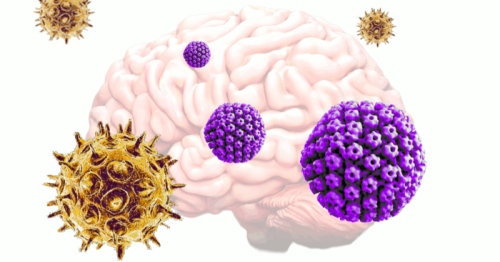 One-two punch from pair of common viruses may trigger Alzheimer’s disease