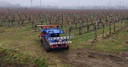 Slopehelper agricultural robot tends to steep vineyards
