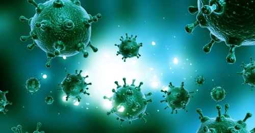 Phase 1 human trial for universal flu vaccine reports promising results