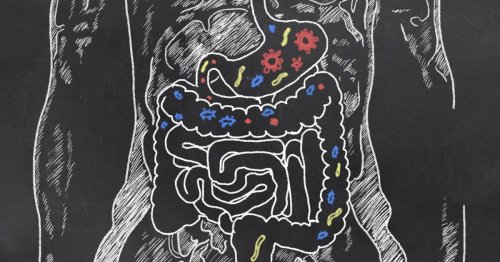 Revolutions: The gut microbiome