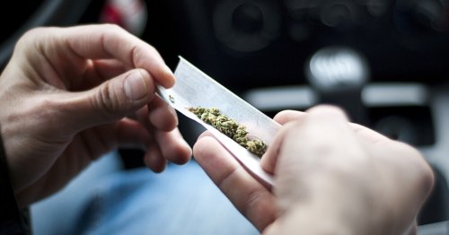 High levels of dangerous metals found in exclusive marijuana users