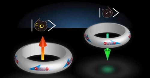 Schrodinger's superconductor naturally stable in two states at once