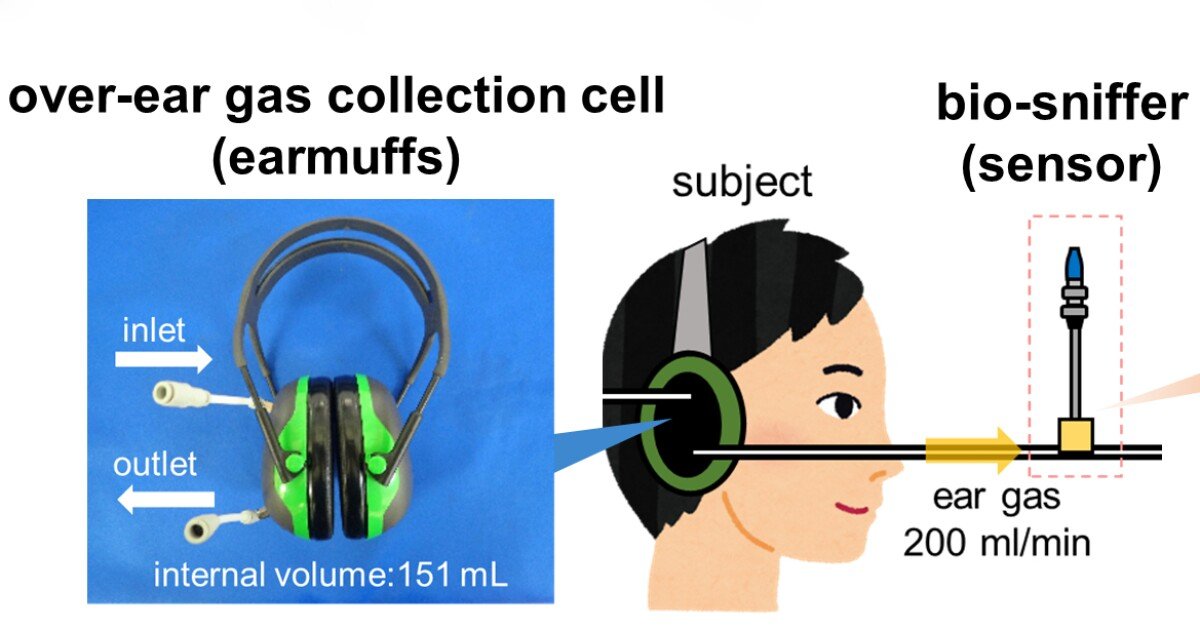 Blood-alcohol-measuring earmuff could replace breathalyzers