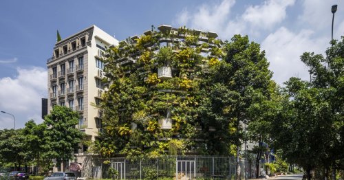 Urban Farming Office adds a splash of green to inner-city Vietnam