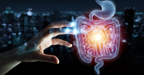 New Microbiome Health Index provides a “credit score for your gut”