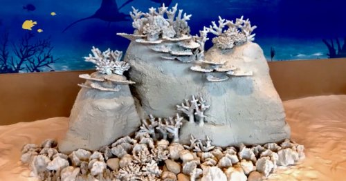 3D-printed concrete "Innoreefs" could help restore real coral reefs