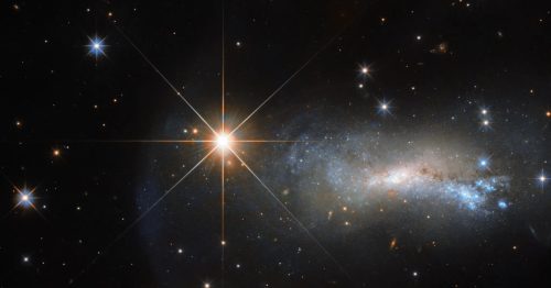 Bright new ‘North star’ will soon burst into view – here’s how to see it