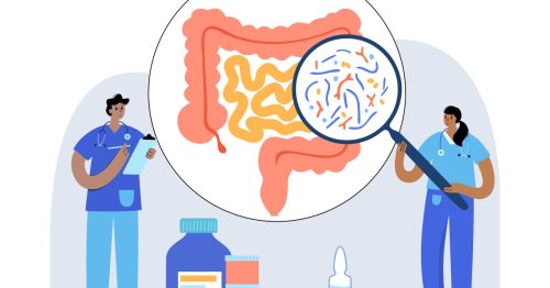 Gut bacteria found to produce molecules that suppress inflammation