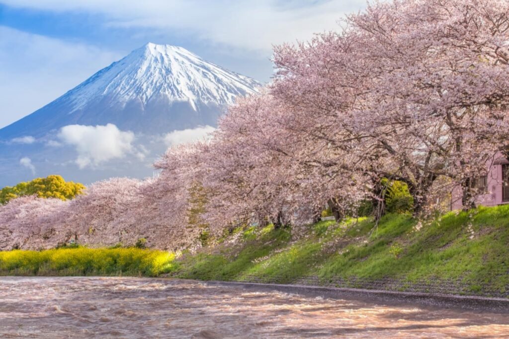 25 Interesting Facts About Mount Fuji You Might Not Know