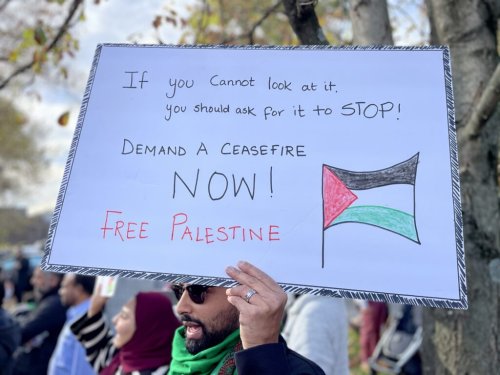 Pro-Palestinian protestors embrace disruption to push politicians to act on Gaza war