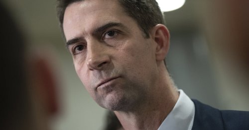 Wait Till You Hear What GOP Has to Say on Tom Cotton’s Latest Remarks