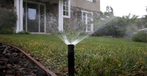 The Real Reason Americans Are Addicted to Lawns